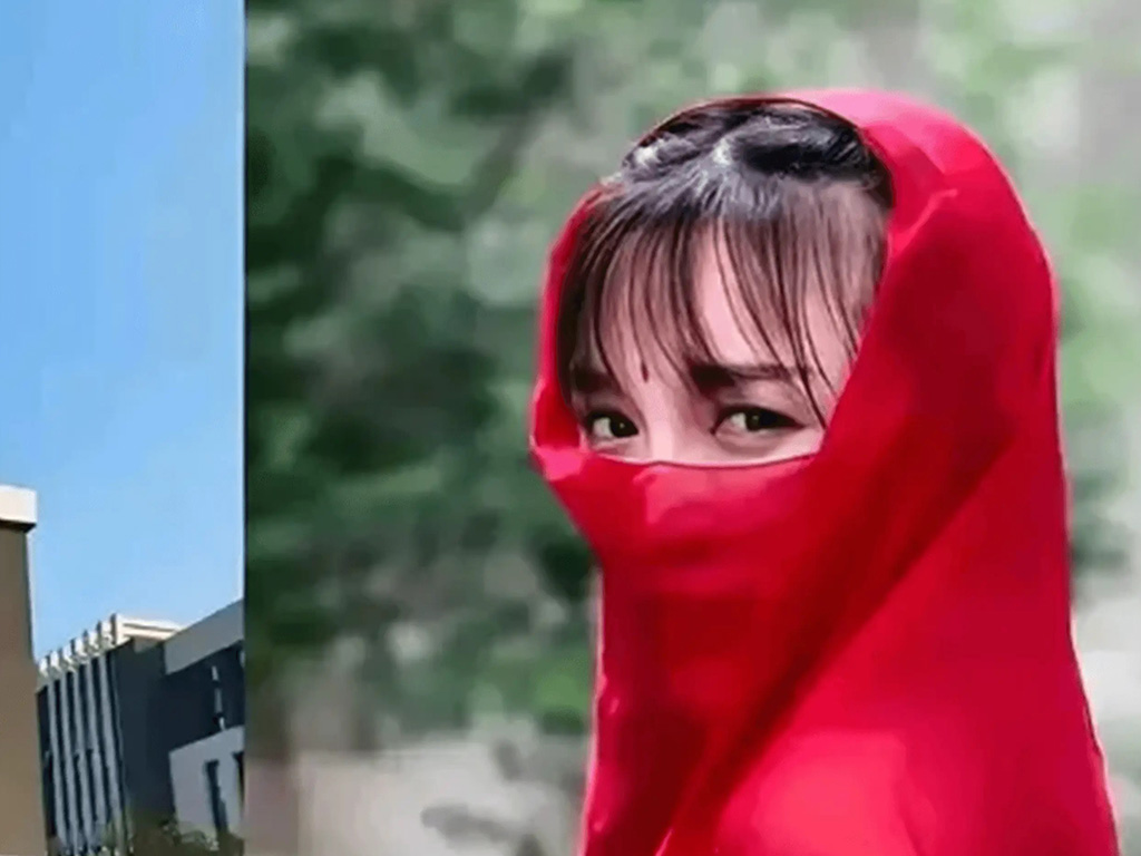 李子柒重新归来，品牌商标成功夺回！